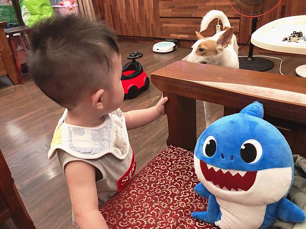 Baby Shark 鯊魚寶寶