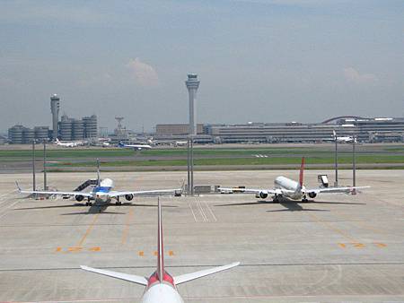 全日本空輸と日本航空