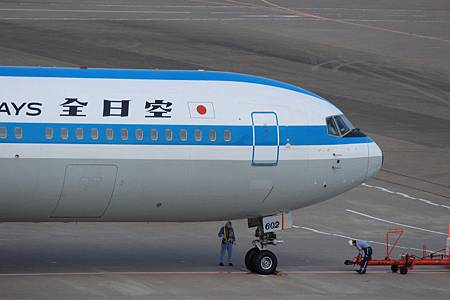 全日本空輸 全日本空輸