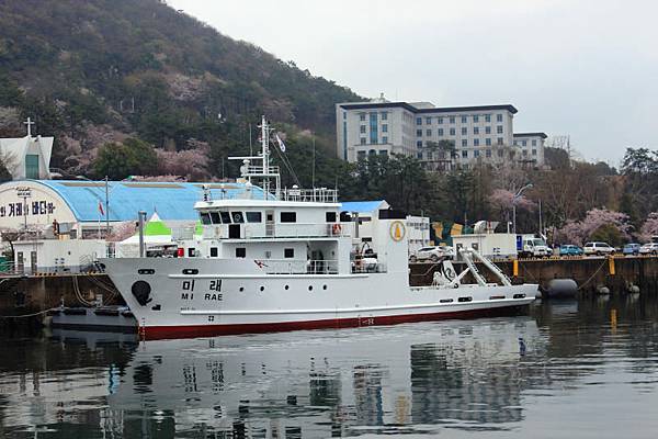 韓國海軍士官學校