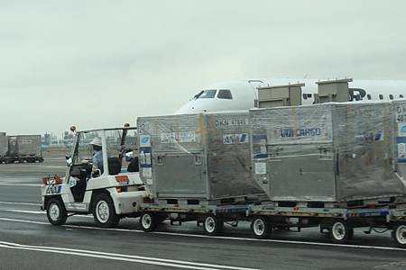 東京羽田空港