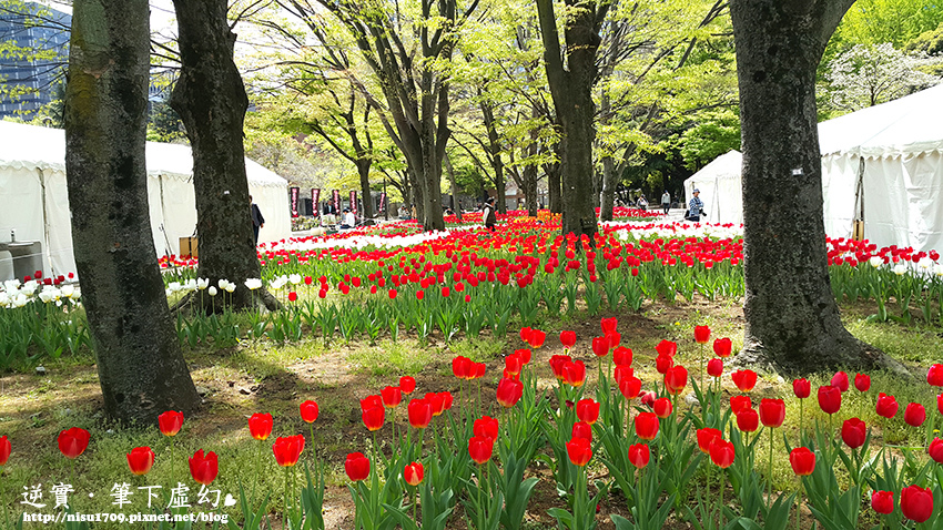 日本東京櫻花季 日比谷公園ひびやこうえん 美得像個觀光景點 鬱金香 大草地 歐風洋房和心字池 每個角落都是風景 逆實 筆下虛幻 日本東京櫻花季 日比谷公園ひびやこうえん 美得像個觀光景點 鬱金香 大草地 歐風洋房和心字池 每個角落都是風景 逆實 筆下虛幻