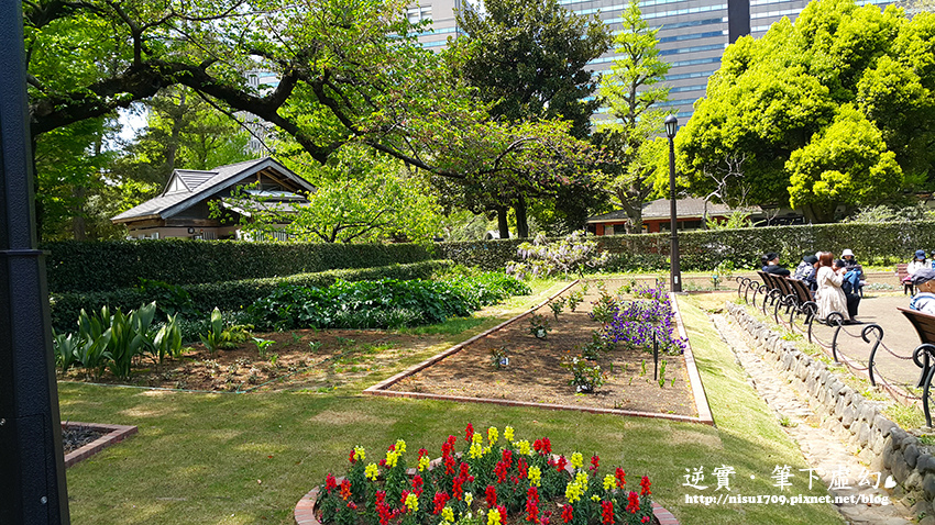 日本東京櫻花季 日比谷公園ひびやこうえん 美得像個觀光景點 鬱金香 大草地 歐風洋房和心字池 每個角落都是風景 逆實 筆下虛幻