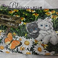 DSC03165_nita