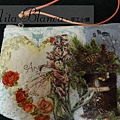 DSC03373_nita