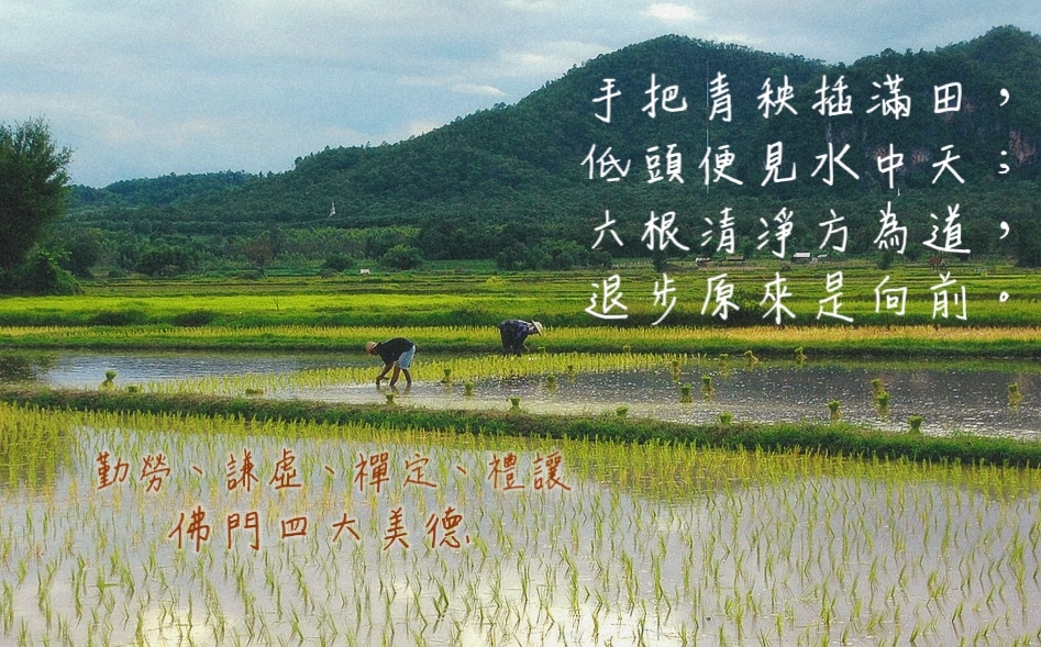唐‧ 布袋和尚禪詩| 勤勞、謙虛、禪定、禮讓佛門四大美德| 天雲