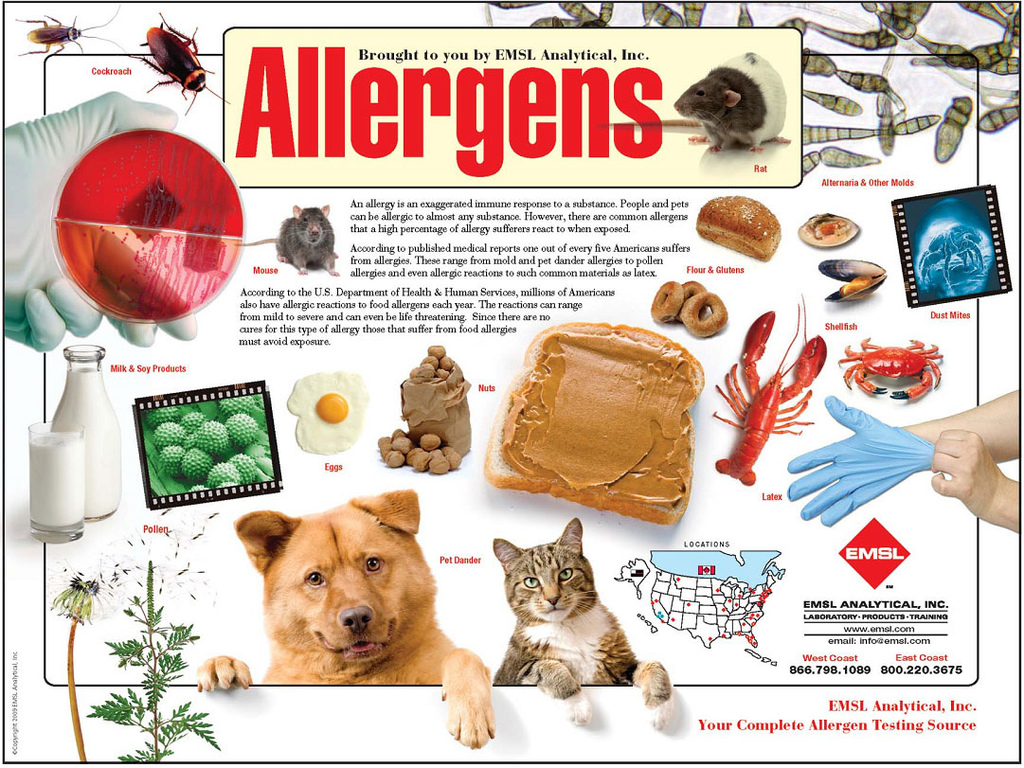 Allergens.jpg