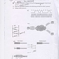 計算機網路考古題