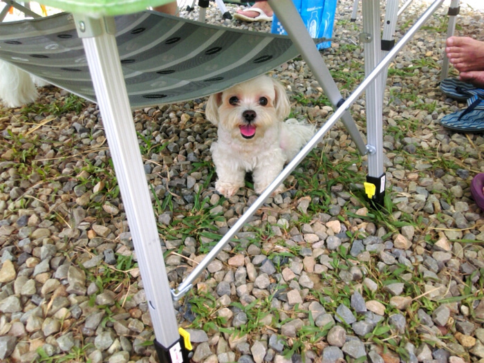 B612-2015-06-14-11-50-04 B612-2015-06-14-11-50-04