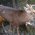 _IGP4810.JPG