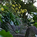_IGP1499.JPG