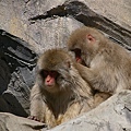 _IGP4964.JPG