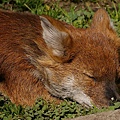 _IGP5192.JPG