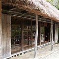 _IGP1156.JPG