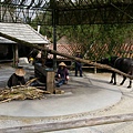 _IGP1338.JPG