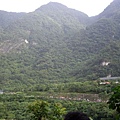 IMGP3347.JPG