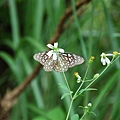DSC_1841.JPG