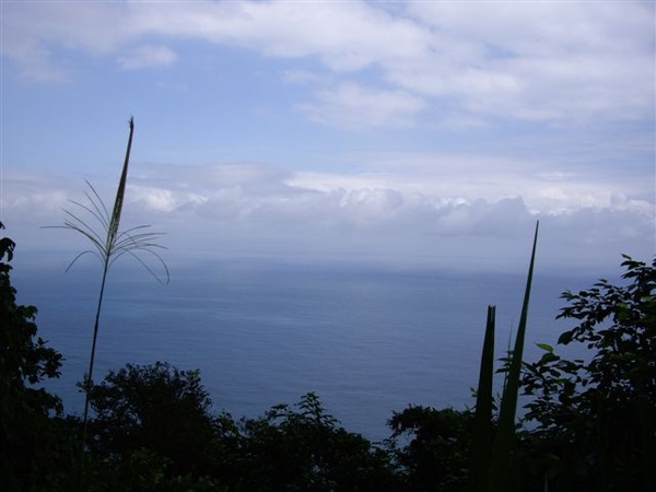 IMGP3382.JPG