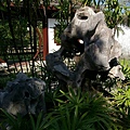 _IGP1667.JPG
