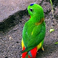 _IGP5118.JPG