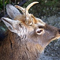 _IGP4813.JPG