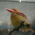 _IGP5184.JPG