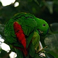 _IGP5125.JPG