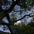 _IGP1487.JPG
