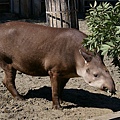 _IGP4955.JPG