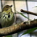 _IGP4561.JPG