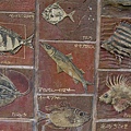 _IGP1135.JPG