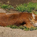 _IGP5189.JPG