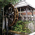 _IGP1342.JPG