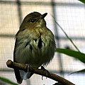 _IGP4572.JPG