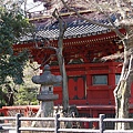 _IGP4816.JPG