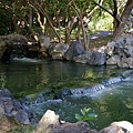 _IGP1706.JPG