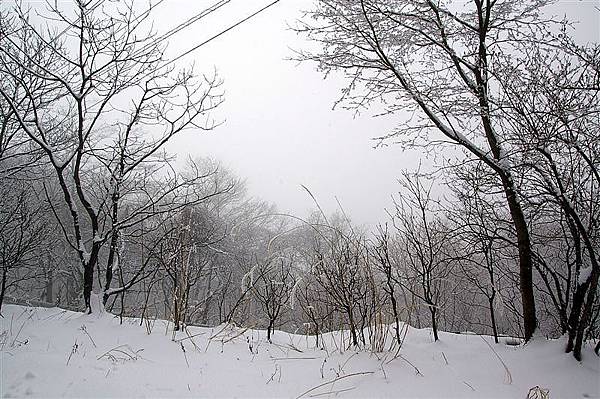 _IGP3522.JPG