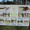 『旅遊』桃園縣虎頭山-忠烈祠-在台灣的日本神社