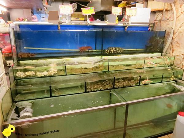 新莊-生猛活海鮮-令人驚悚的熱炒店
