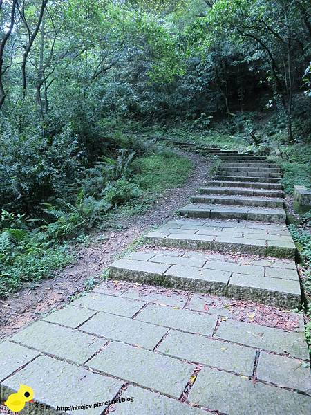 【台北】汐止-新山夢湖-台北的秘密花園