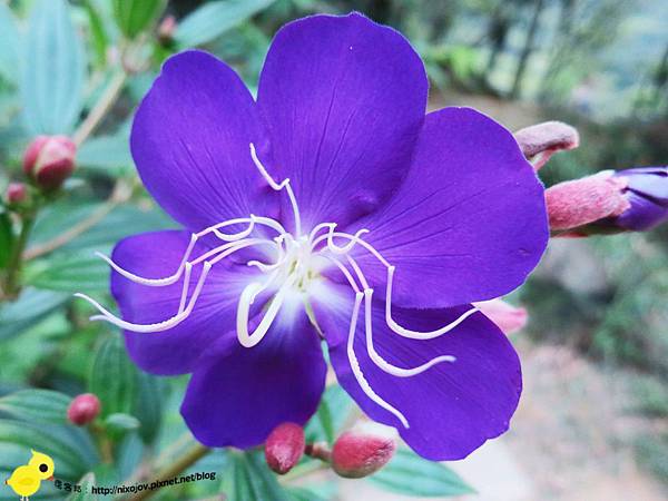 【台北】汐止-新山夢湖-台北的秘密花園