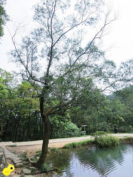 【台北】汐止-新山夢湖-台北的秘密花園
