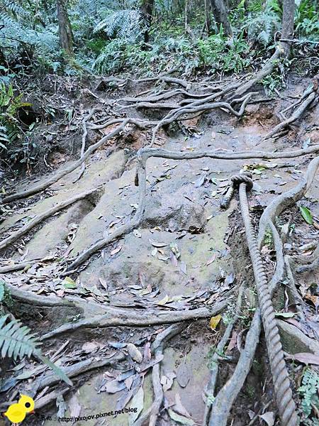 【台北】汐止-新山夢湖-台北的秘密花園