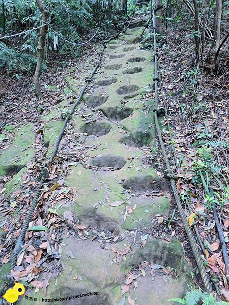 【台北】汐止-新山夢湖-台北的秘密花園