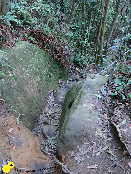 【台北】汐止-新山夢湖-台北的秘密花園