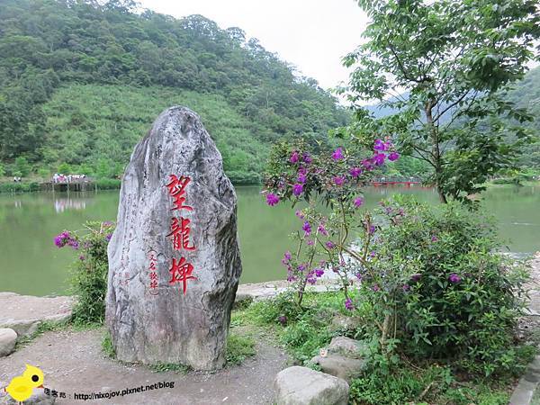 【宜蘭】望龍埤-湖畔中的夢境