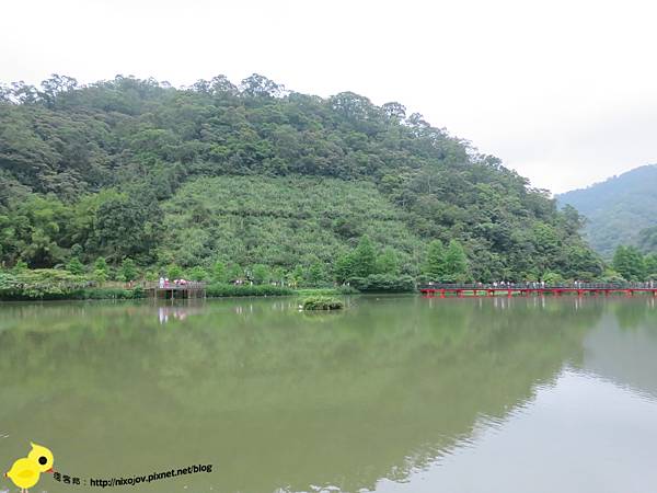【宜蘭】望龍埤-湖畔中的夢境