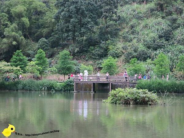 【宜蘭】望龍埤-湖畔中的夢境