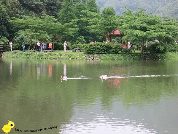 【宜蘭】望龍埤-湖畔中的夢境