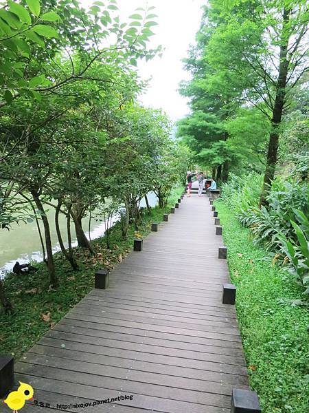 【宜蘭】望龍埤-湖畔中的夢境